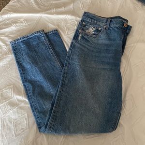 AEO 90s slim boyfriend jean (10 x-long)